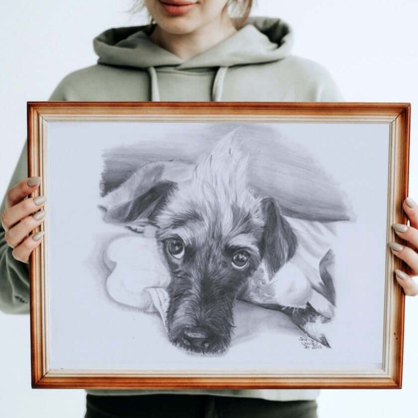 Lass Dein Haustier zeichnen - Die Künstlerin Sabrina Wohlfeil zeichnet Dein Porträt