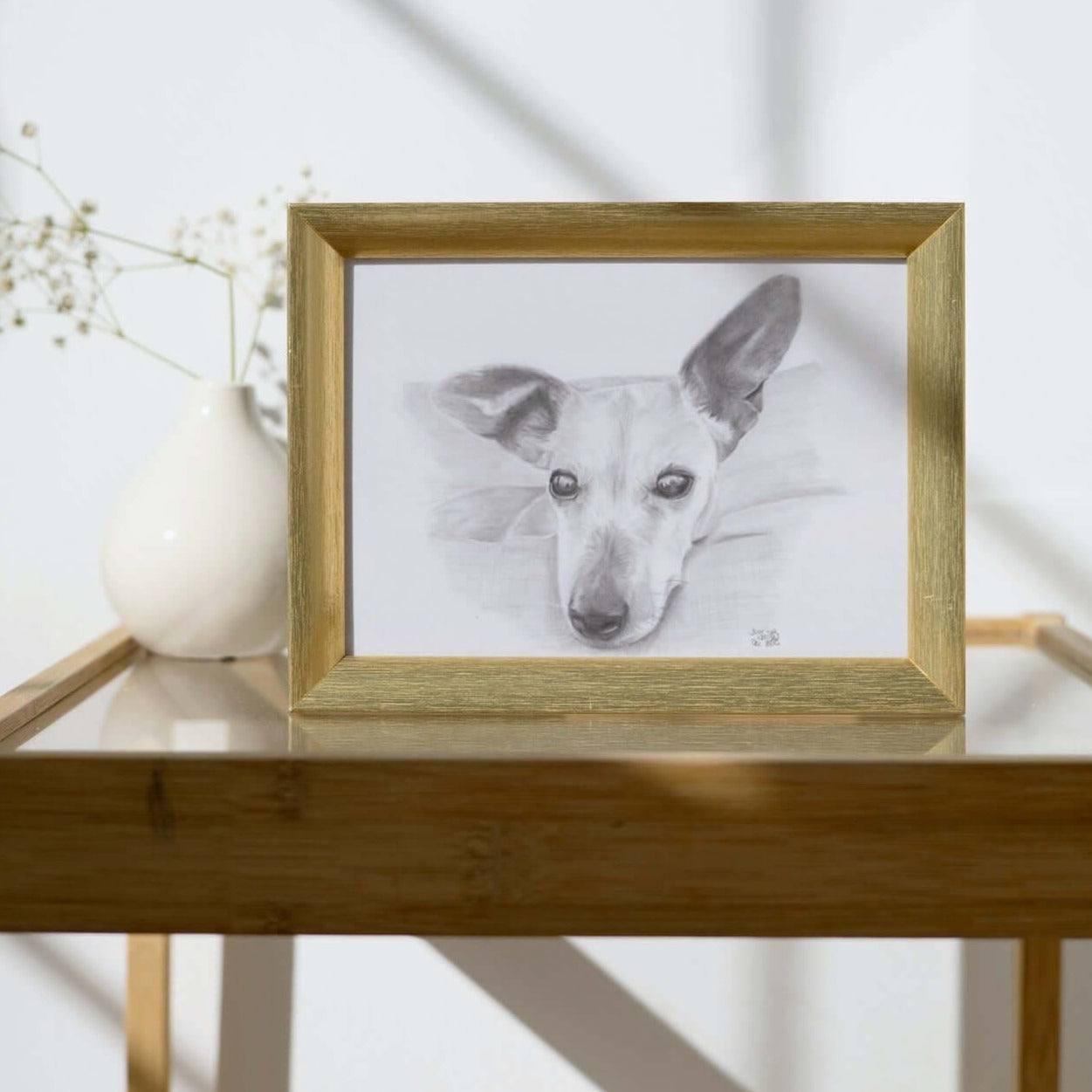 Lass Dein Haustier zeichnen - Die Künstlerin Sabrina Wohlfeil zeichnet Dein Porträt