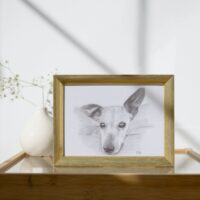 Dein Foto als Bleistiftzeichnung – Bild 4
